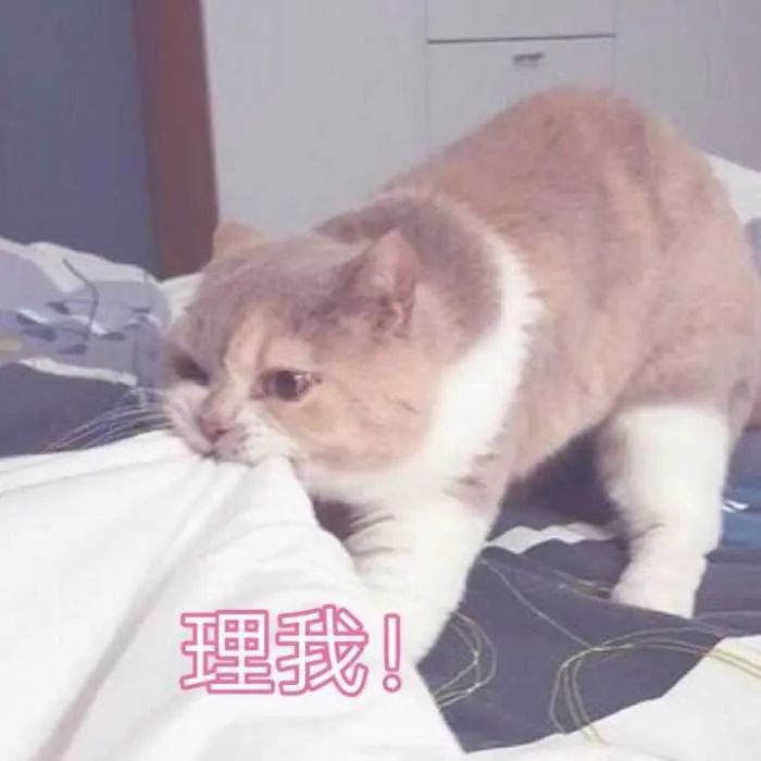DƬ